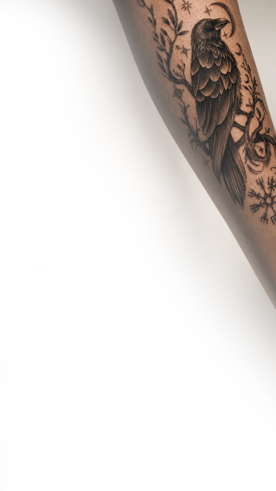 Estudio de tatuajes Equilátera Tattoo Studio en Jaca